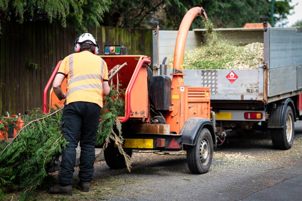 West Richland, WA Tree Services Company