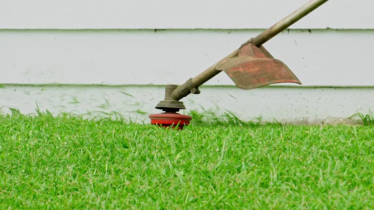 How Our Tree Care Process Works  in  West Richland, WA