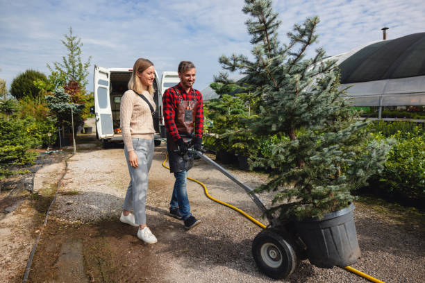 Best Palm Tree Trimming  in West Richland, WA